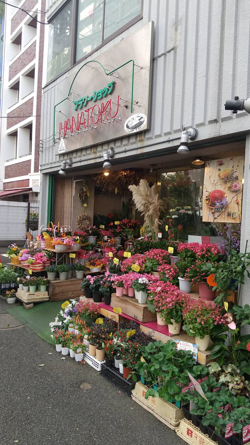 池上のあると嬉しいお花屋さん ｜ おーたふる 大田区商店街ナビ