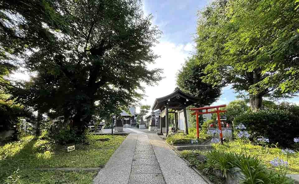 夏越の大祓：茅の輪くぐりを実施している大田区内の神社　⑦ 太田神社