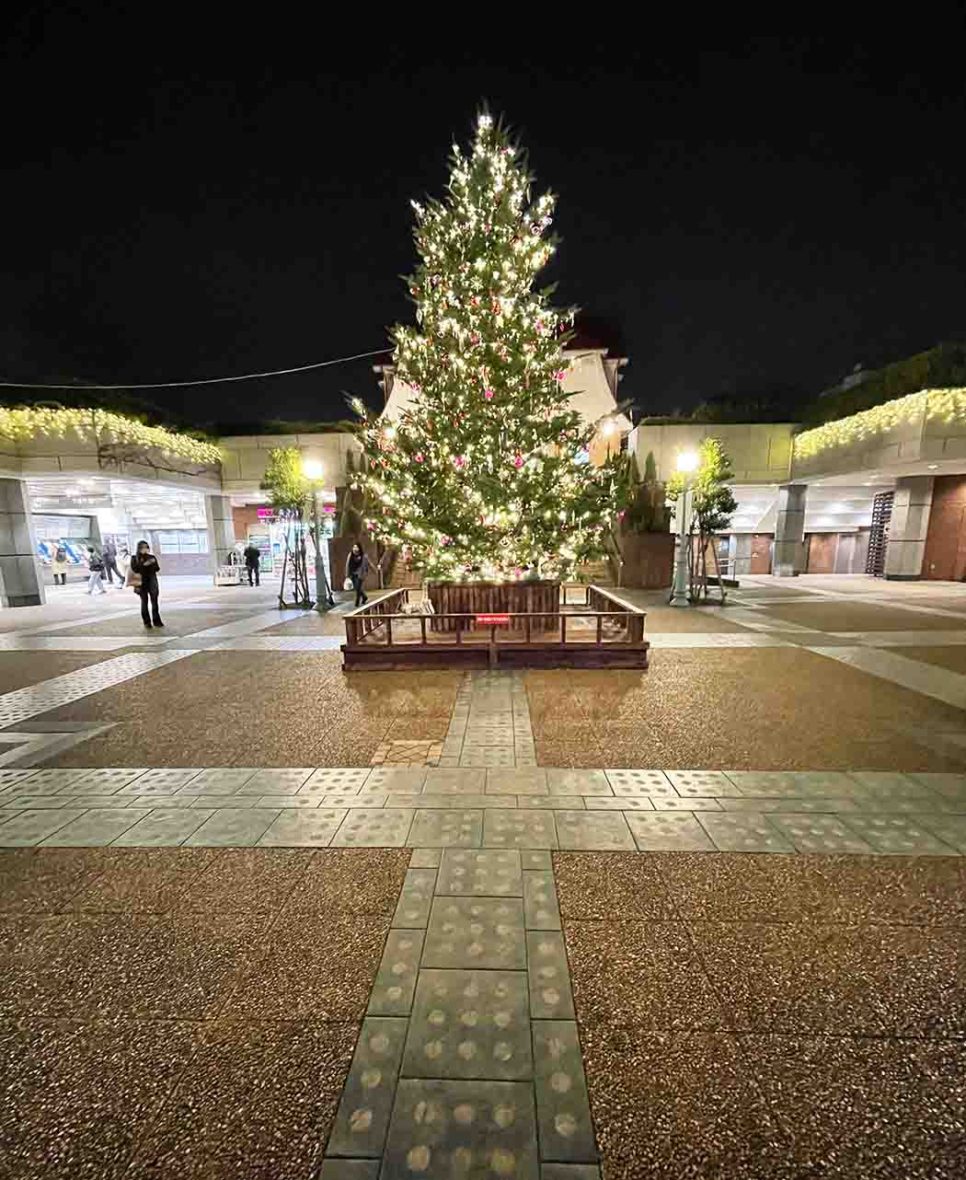 田園調布】田園調布商店街が駅広場に大きなクリスマスツリー ｜ おーた