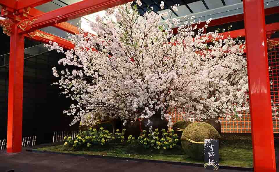 【羽田空港】第2・第3ターミナルで桜満開の装飾が楽しめます