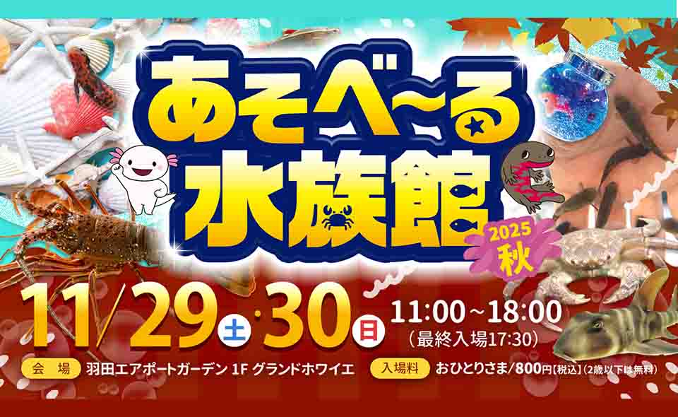 【羽田空港】2025/11/29(土)〜30(日)羽田エアポートガーデンに「あそべ〜る水族館」がやってくる!